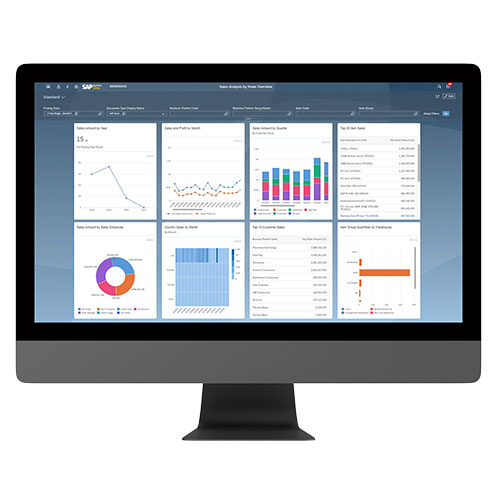 SAP Business One Business Intelligence