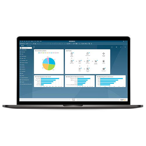 SAP Business One Purchasing and Inventory Control