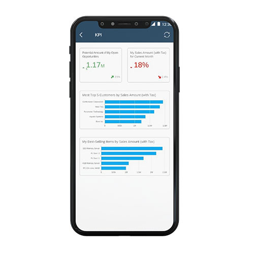 SAP Business One Sales and Customer Management