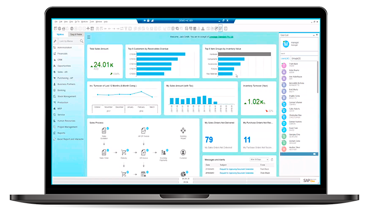 SAP Business One User Interface