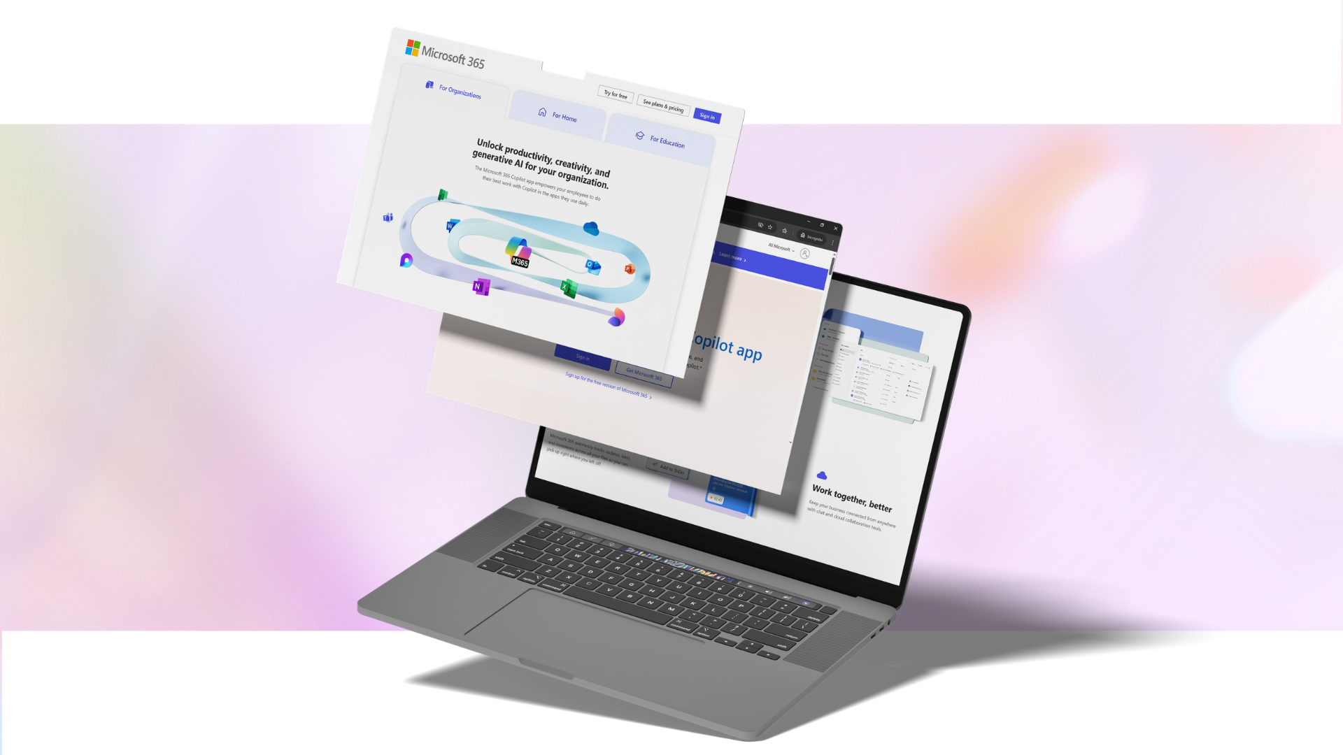 Microsoft 365 Layout Showcase
