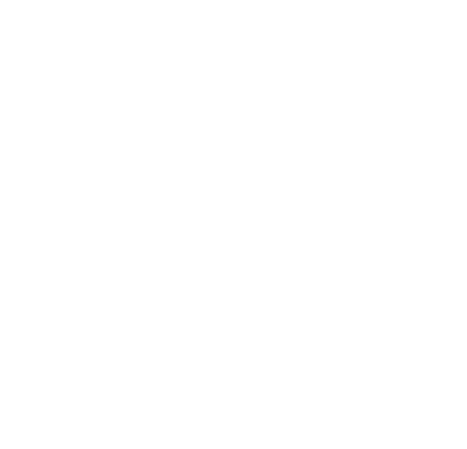 Protect Icon