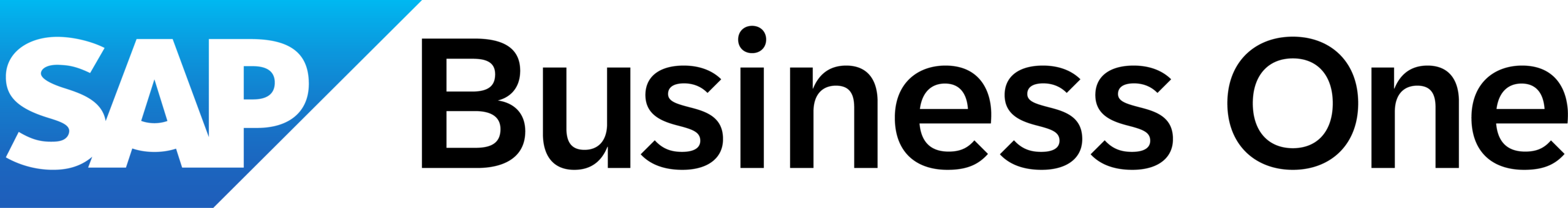 SAP Business One